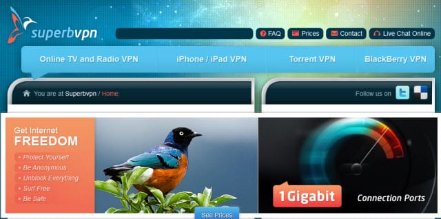 替嫁娇妻:偏执总裁宠上瘾